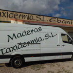 Maderas Taxidermia S.L.U.
